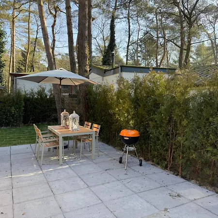 Veluwe Homes - With Community Swimming Pool, Bar, Restaurant, Bowling And Supermarket Facilities In The Veluwe National Park